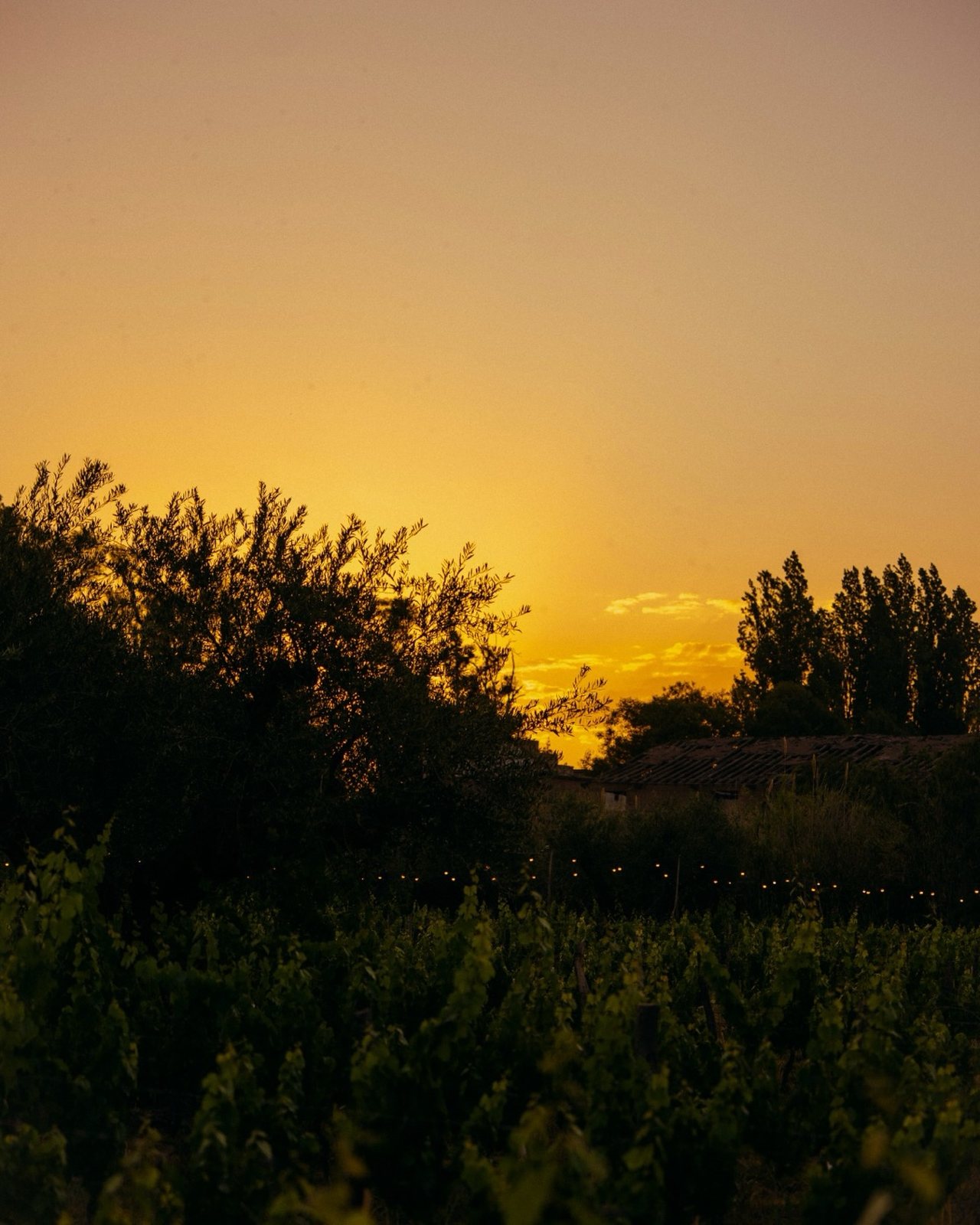 La Finquita 1920: o sunset de bodega de garagem em Maipú